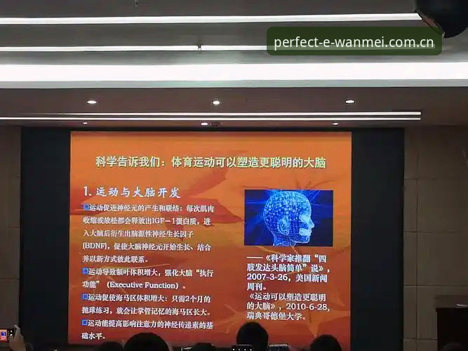 资深用户分享完美体育使用教程怎么样——从安装到实战的全流程体验心得
